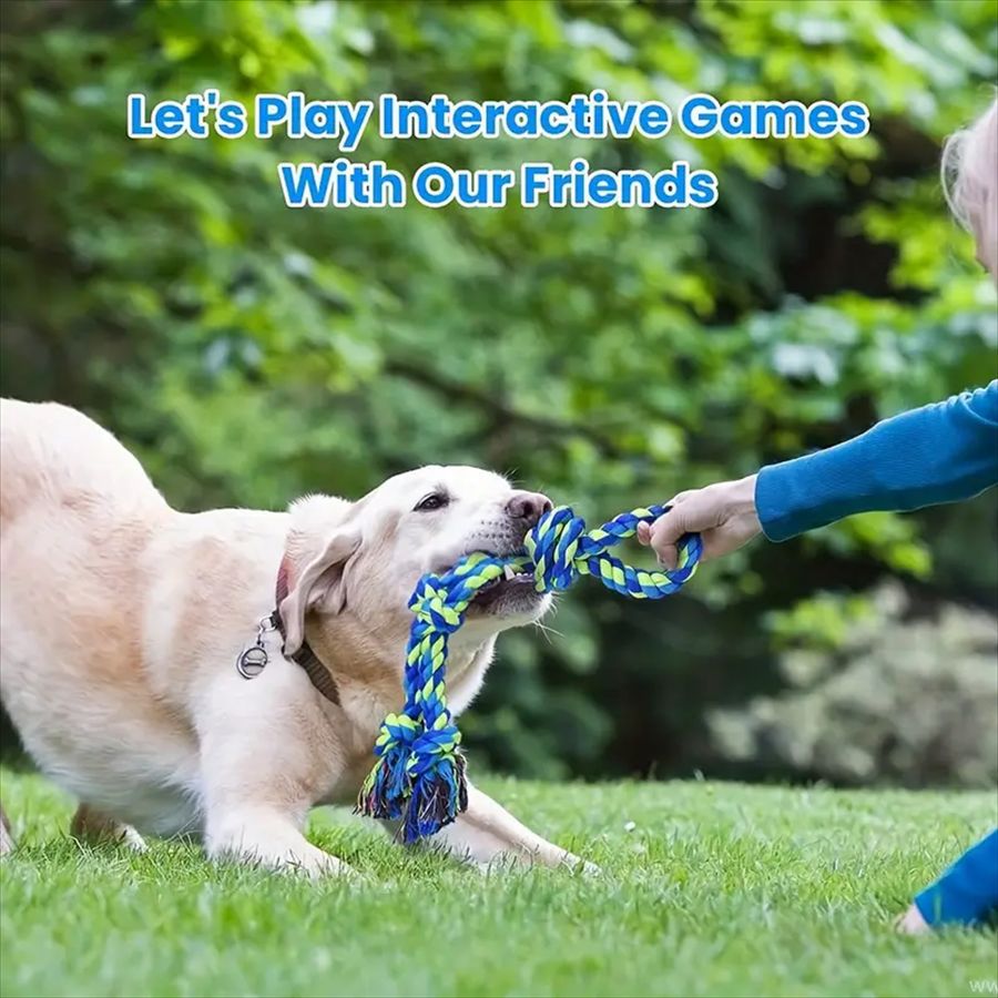 Knotted cotton rope dog toy close-up