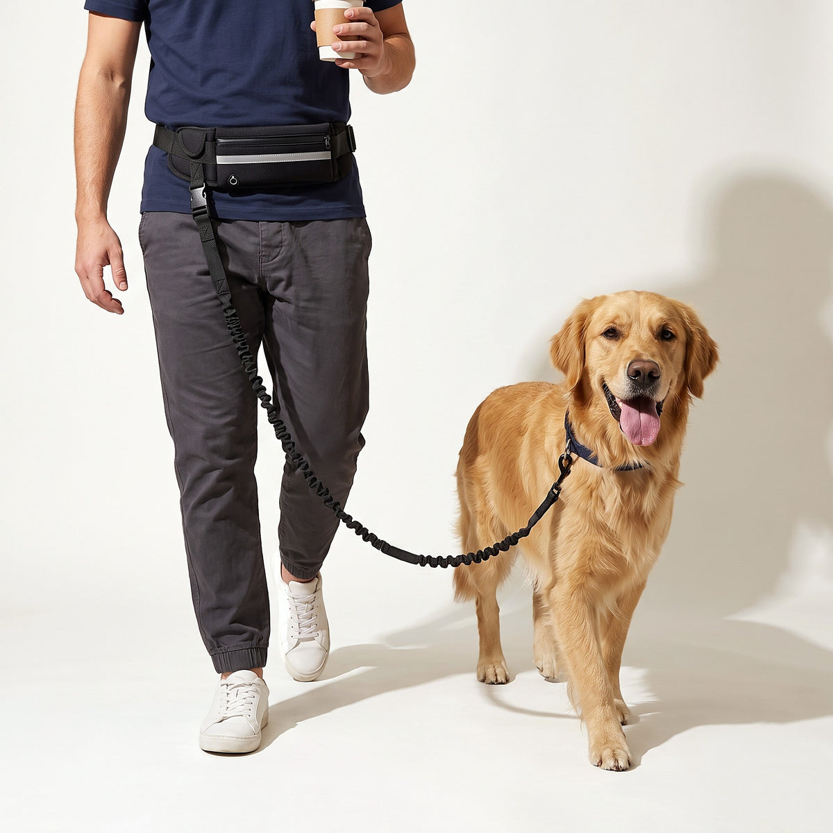 Walking a Golden Retriever hands-free with the leash clipped to the waist belt