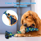 Large dog playing tug-of-war with a rope toy