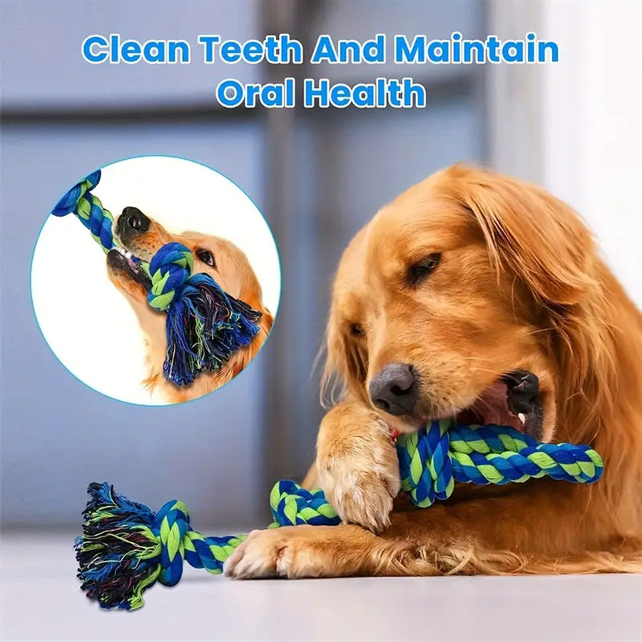 Large dog playing tug-of-war with a rope toy