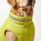 Close-up of the padded collar