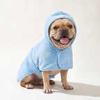 French Bulldog in the blue hooded drying coat