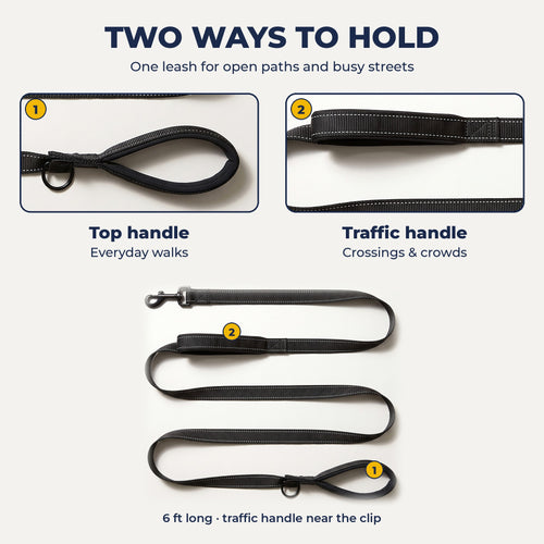 Two ways to hold: top handle for everyday walks, traffic handle for crossings