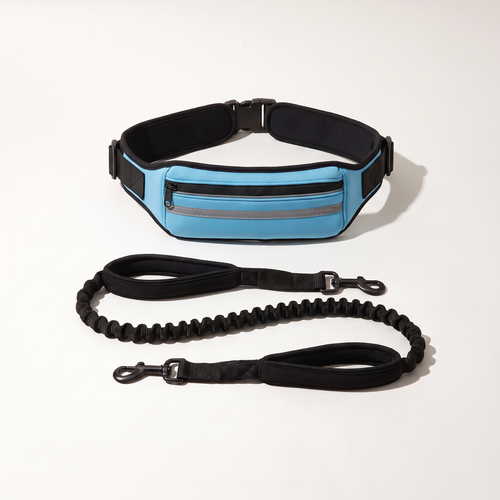 Blue hands-free waist belt with bungee leash