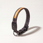 Rechargeable LED dog collar with Orange light strip