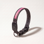 Rechargeable LED dog collar with Pink light strip