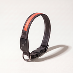 Rechargeable LED dog collar with Red light strip