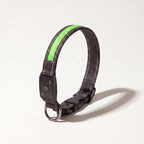Rechargeable LED dog collar with Green light strip