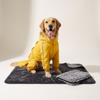 Golden Retriever in the yellow rain suit sitting on the waterproof blanket with the paw towel
