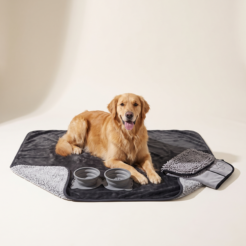 Golden Retriever lying on the waterproof blanket with the travel bowl and paw towel