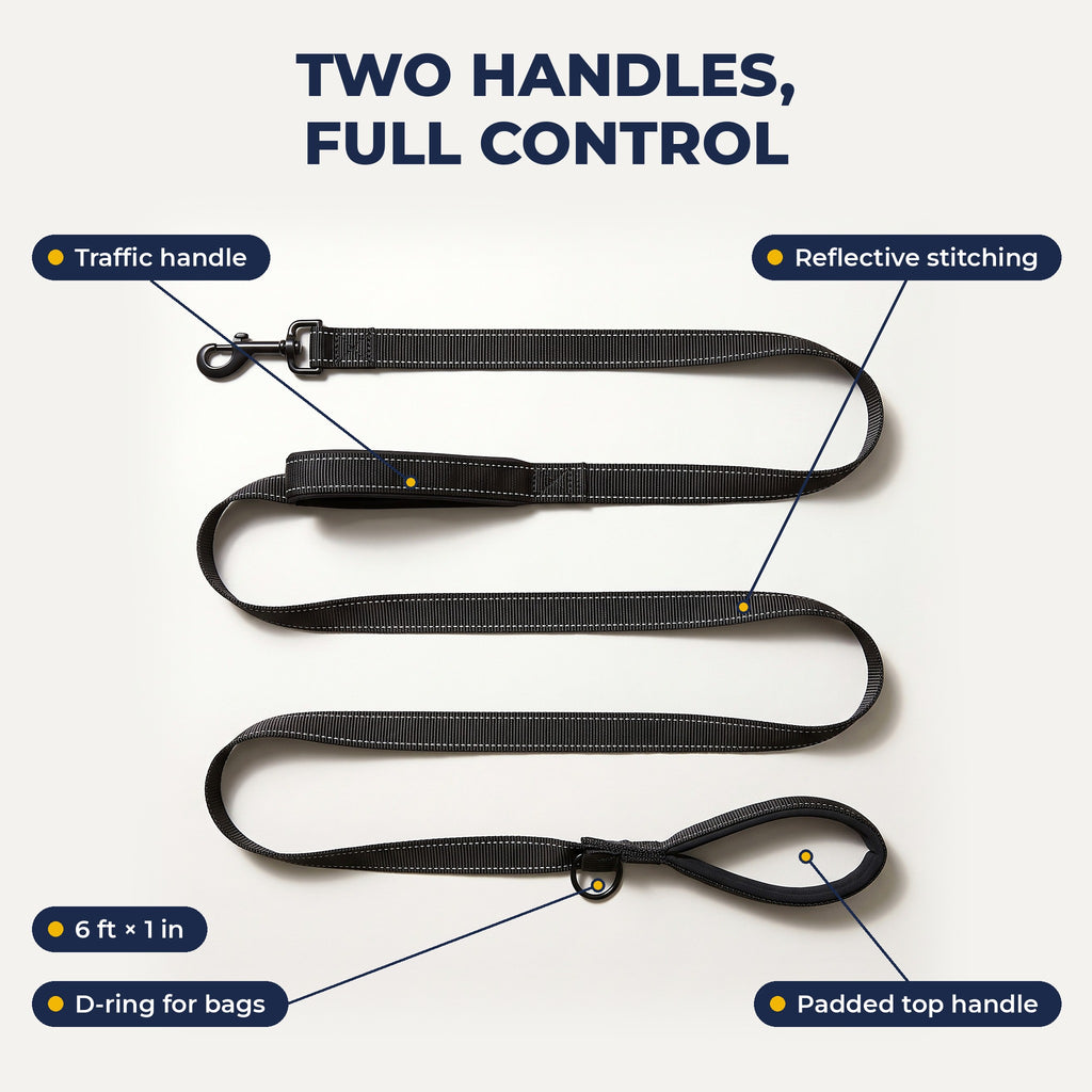 Leash features: traffic handle, reflective stitching, D-ring, padded top handle, 6 ft x 1 in