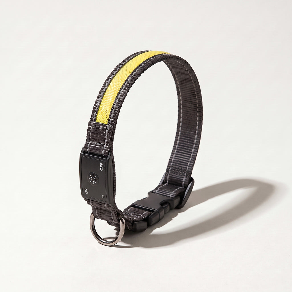 Yellow rechargeable LED dog collar with USB-C