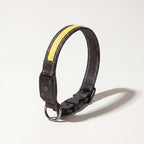 Yellow rechargeable LED dog collar with USB-C
