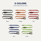 Double-handle leash in five colors