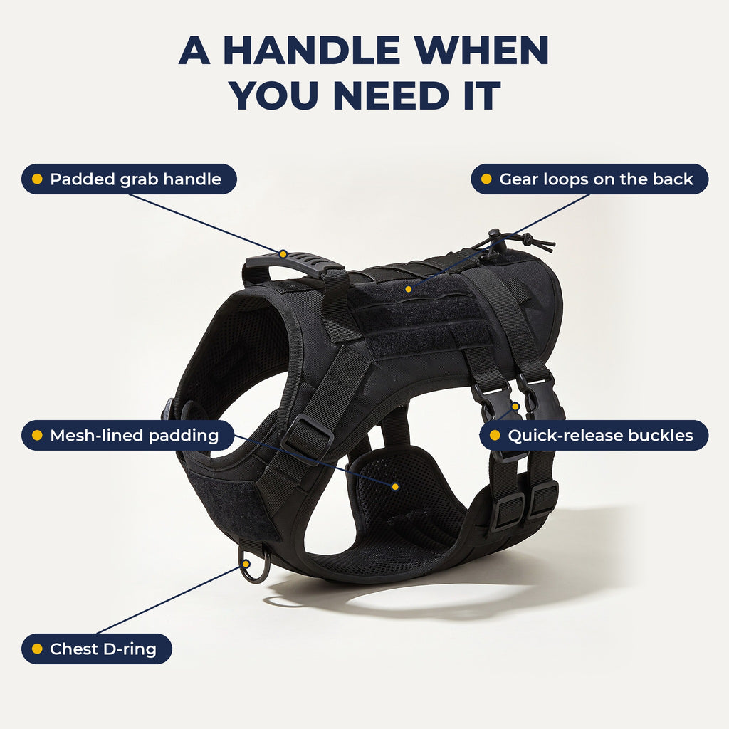 Harness features: padded grab handle, gear loops, mesh lining, quick-release buckles, chest D-ring