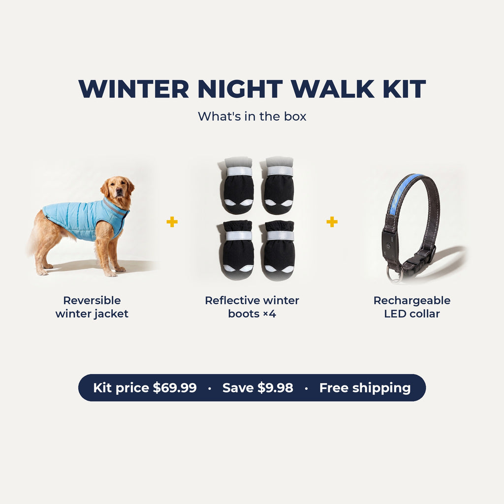 Winter Night Walk Kit: reversible winter jacket, reflective winter boots, rechargeable LED collar