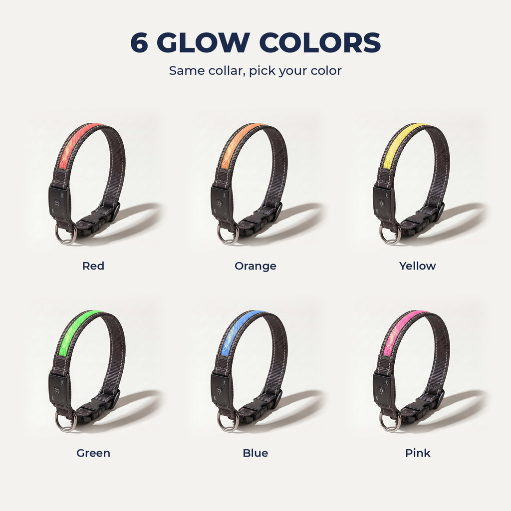 LED collar in six colors