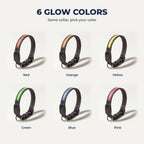 LED collar in six colors