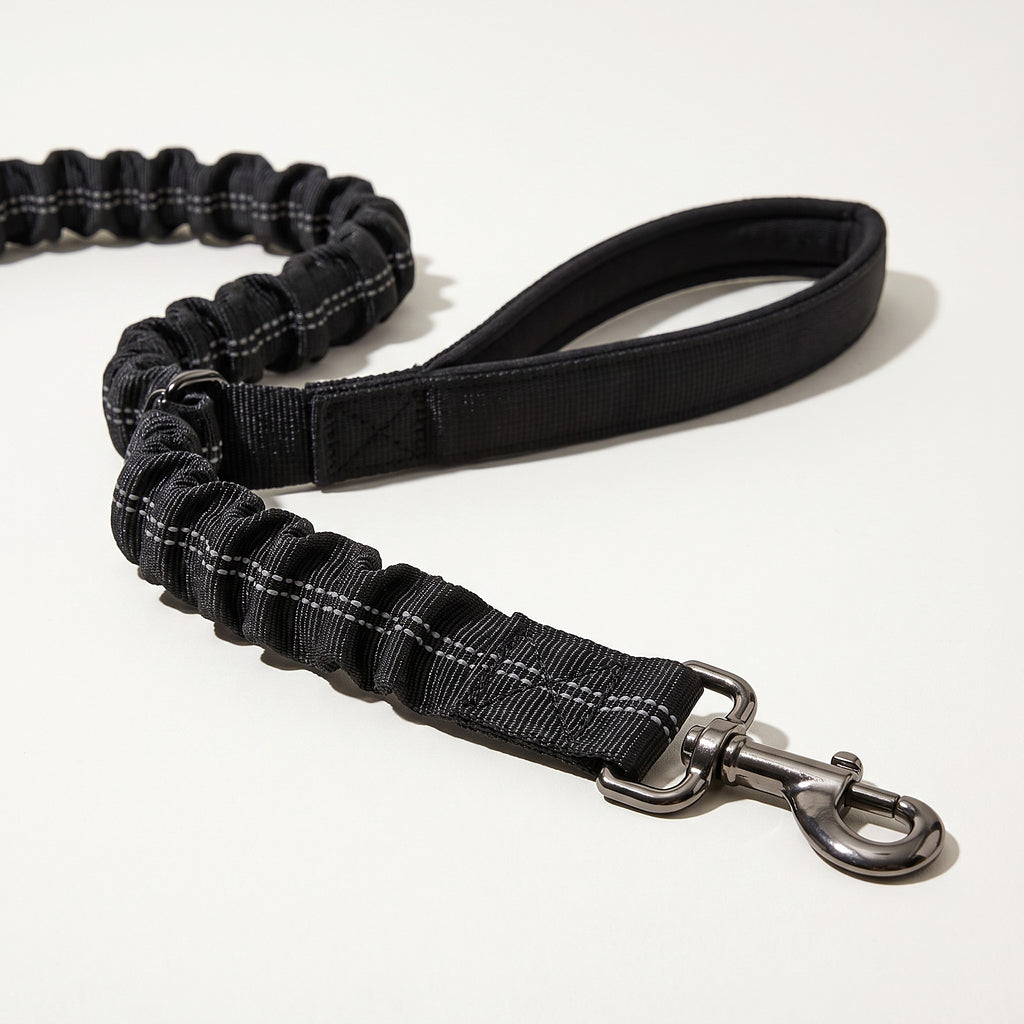 Shock-absorbing bungee section with reflective stitching