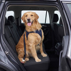 Golden Retriever on the back seat, tether clipped to its harness